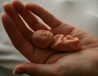 Как защитить нерожденного ребенка? В Москве обсудили законопроект о запрете абортов
